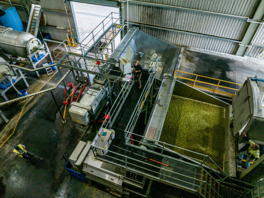 Grape receival and processing equipment at Links Winery in Hawke’s Bay, showing grapes being unloaded for wine making and contract wine making.